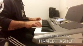 Hamed Kashefi  Hayedeh Raavi