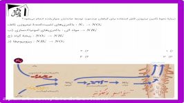 تست مروری1۳ زیست‌شناسی جذب انتقال مواد در گیاهان دکتر برهانی