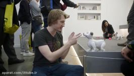 رونمایی شرکت SONY ROBOT DOG در کارهای منزل می تواند کمک کند.