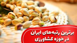 برترین رتبه های ایران در حوزه کشاورزی صنایع تبدیلی