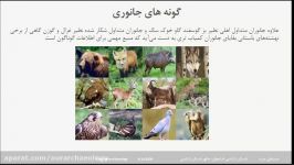 باستان شناسی استخوان شناخت گونه های جانوری محیطی