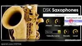 وی اس تی DSK Saxophones