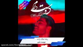 دانلود آهنگ جدید دوست دارم رضا ملک زاده Reza Malekzadeh Dooset Daram