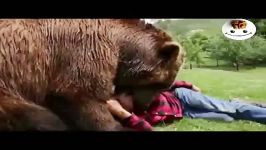 دوستی خاله خرسهرابطه وحشتناک یک مربی خرس خرسش