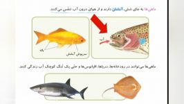 علوم پایه سوم ابتدایی، تدریس درس 12، قسمت دوم