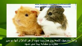 معجزات قرآن خلقت جوره یی