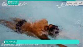 آموزش شنا  شنا حرفه ای نحوه حرکت شانه در شنا کرال پشت 28423118 021