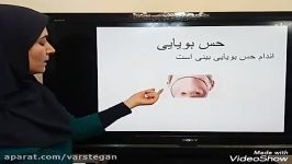 آموزش علوم حس بویایی چشایی قسمت دوم