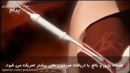 فیلم واقعی انجام IVF