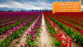 نرم نرمک می رسد اینک بهار