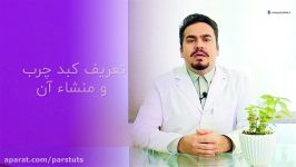 هرآنچه در مورد کبد چرب باید بدانید