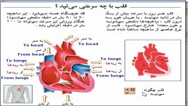 قلب چه سرعتی می تپد؟