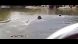 سقوط سارق مسلح هنگام فرار به دریاچه