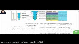 نمونه تدریس کتاب نورولوژی پارسه مروری بر بیماریهای مغز اعصاب