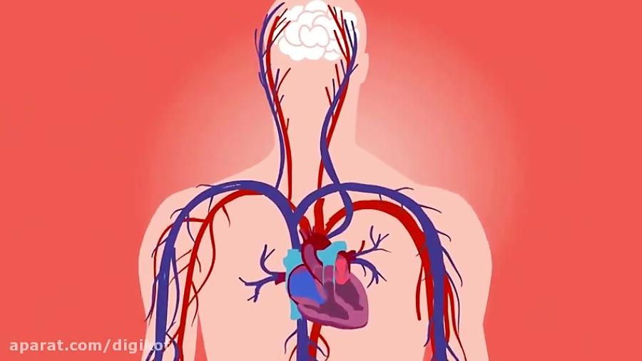 چگونه فشار خون را در ۵ دقیقه پایین بیاوریم؟