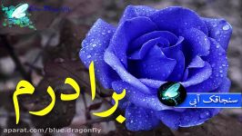 کلیپ تبریک آزادسازی خرمشهر گرامیداشت فتح خرمشهر قدردانی جانبازان رزمندگان