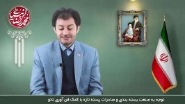 بسته بندی صادرات پسته فن آوری نانو  محمدرضا انبیائی