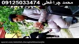 مداحی دشتستانی بهشت زهرا