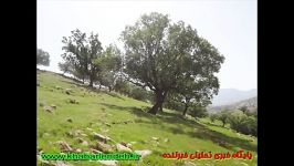 معرفی جاذبه های گردشگری شهرستان لندهروستای بیشه ای