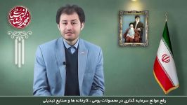 رفع موانع سرمایه گذاری در محصولات کارخانه ها  محمدرضا انبیائی