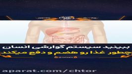 نحوه هضم گوارش مواد غذایی