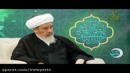 آیت الله صافی مشاور ویژه آیت الله بروجردی