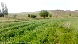 رودخانه آلّان  روستای قباق تپه کرد