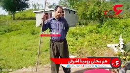 بهمن خاوری می خواست جنازه رومینا اشرفی را قبر بیرون بکشد