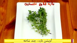 سس فلفلی آشپزخانه خوراک ایرانی  سس قرمز فلفلی؛ سس برای ساندویچ گوشت Peppe