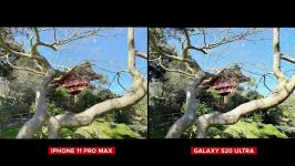 مقایسه دوربین s20 ultra vs iphone 11 pro max