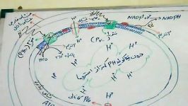 تدریس فصل شارش انرژی استاد محمد شاکری