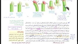 زیست یازدهم فصل۹ نور گرایی بخش سوم  مدرس خانم وحیدیگانه