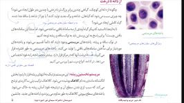 زیست دهم  فصل۶ سلولهای مریستمی بخش دوم  مدرس خانم وحیدیگانه