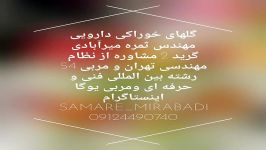 گلهای خوراکی دارویی مهندس ثمره میرآبادی 09124490740