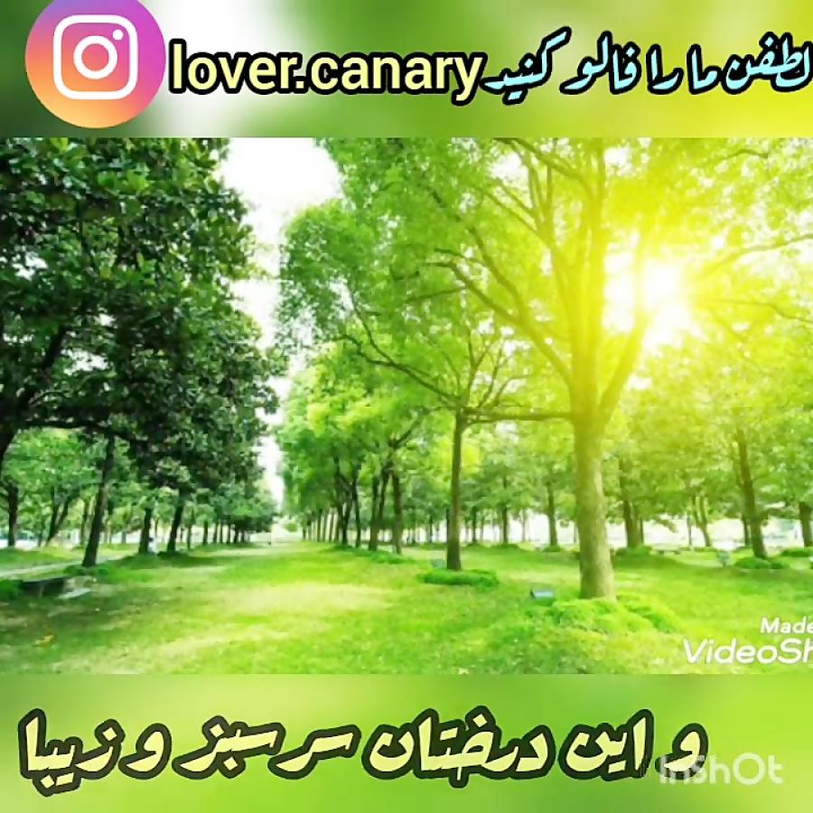 آهنگ شاهکار حماسی آشوری به نام ای دهقانان صدای هنرمند مشهور آشوری اوین آغاس