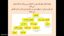 تولید مثل غیرجنسی در نهاندانگان. گفتار اول فصل 8 زیست شناسی 2