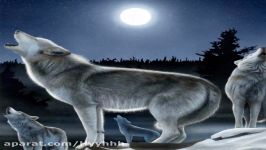 آهنگ the howl of a wolf هستیا هادی hastia hadi