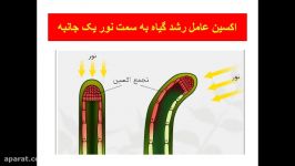 حرکات پیچشی در گیاهان.گفتار اول فصل 9 زیست شناسی 2