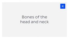 آناتومی بدن   بررسی استخوان های سر گردن