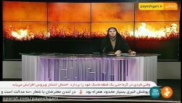 تکذیب قطعی برق منطقه 22 تهران در پی آتش‌سوزی چیتگر