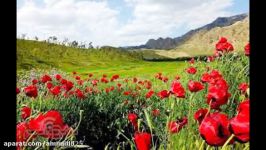 موسیقی محلی بختیاری دی بلال  بی کلام