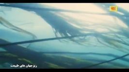 مستند ریز جهان های طبیعت دوبله فارسی  خلیج مونتری