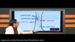 تدریس زیست گیاهی حرف آخر  انیمیشن سازی استاد روان مبحث بافت گیاهان