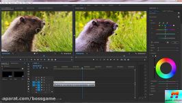 آموزش تصحیح رنگ ویدیو در پریمیر