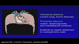 مجموعه 15 ساعت فیلم آموزشی Thoracic Imagnig 2020