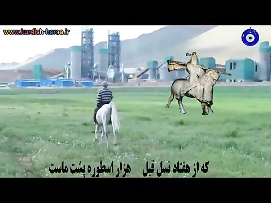 محبعلی عربی  قدیمی ترین پرورش دهنده اسب نژاد کرد