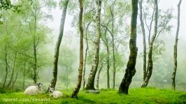 مجید خراط ها  آلبوم دارم میرم ترانه ی لجباز