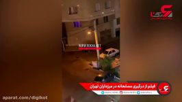 فاش شدن جزئیات فیلم شلیک های شبانه در مرزداران تهران