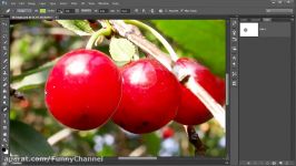 آموزش استفاده ابزار پن در فتوشاپ Understanding the Pen Tool in Photoshop