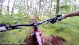 دوچرخه سواری در جنگل سرسبز